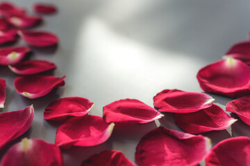 Group of red rose petals on gray background
