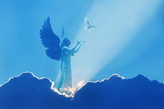 Heaven The Way Angel - Free photo on Pixabay - Pixabay