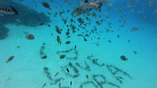 Bora Bora Snorkeling water sport activity. Young woman snorkeling on adventure travel vacation in French Polynesia, Tahiti coral reef lagoon. Bora Bora sign writen on ocean floor