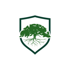 Shield oak leaf logo design vector illustration, Creative oak tree logo design concept template, symbols icons