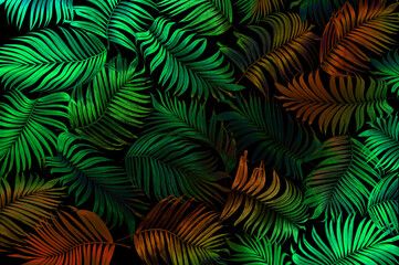 Fototapeta na wymiar mix set green leaf of coconut palm tree background