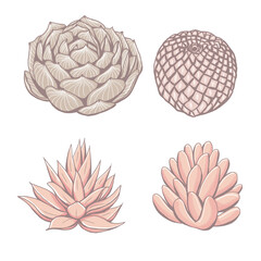 Obraz premium Cute cacti and succulents, pastel colors desert plants