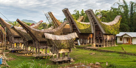 Fototapeta na wymiar Toraja houses with bended roof with silos , Traditional village, Sulawesi, Indonesia, 