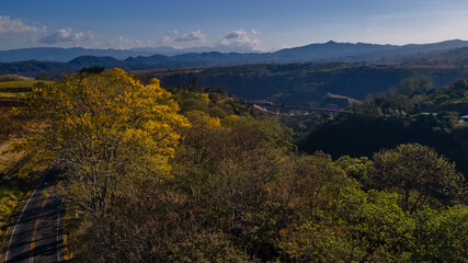 Beautiful aerial view of a bridge inside the yellow trees of the forest of Costa Rica, with the impressive mountains in the back 