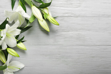 Beautiful lily flowers on light wooden background