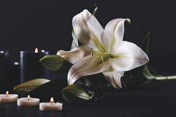 Beautiful lily flowers and burning candles on black background