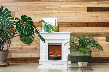 Interior of modern living room with fireplace and houseplants