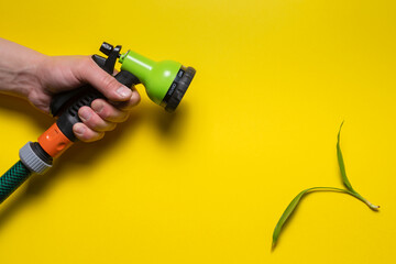 Garden water sprinkler in the gardener hand and green plant leaves on the yellow flat lay background. Gardening concept. - obrazy, fototapety, plakaty