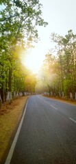 sun rise in the middle of the hiway in the forest