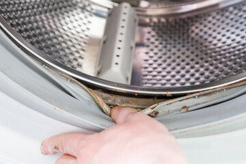 the hand protrudes the rubber band of the washing machine drum with a layer of dirt underneath