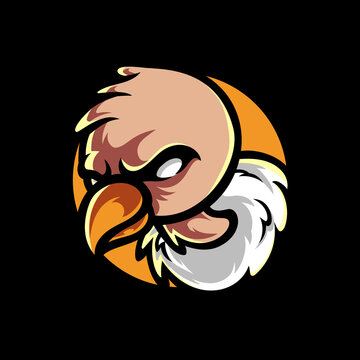 Vulture Condor Head Mascot Logo