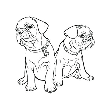 Vector illustration of two puppies in line. Isolated dog for printing in a coloring book, blank for designer, icon, logo