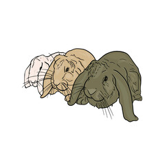 Rabbits illustration. Isolated hares for printing on postcards, preparation for designers, pet shops, farms, 