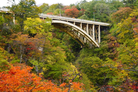 紅葉の鳴子峡と大深沢大橋の風景/Naruko gorge and bridge with autumn foliage in Tohoku, Japan.