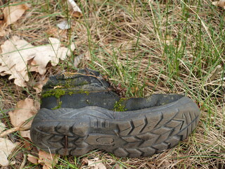 abandoned shoe