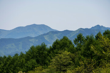 こまどり池から見える初夏の山と森－1／八千穂高原（長野県佐久穂町）