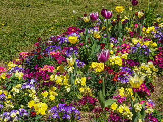 Spring flower bed