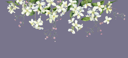 Watercolor wild pink flowers and jasmine flowers on white background