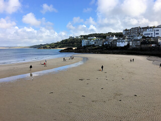 A view of the Beech at St Ives in Cornwall