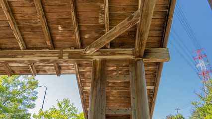 Obraz premium Park pavilion and forest landscape