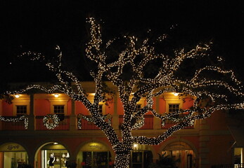 Weihnachten in der Stadt Naples am Golf von Mexico, Florida