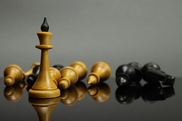 The chess king on the battlefield among the fallen pieces, the concept of business leadership