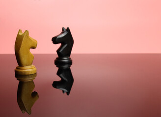 confrontation of chess chess knight on a mirror surface © Michael