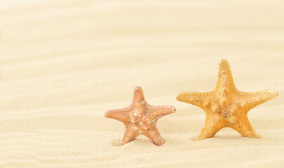 Fototapeta na wymiar The summer background with two starfishes on the sand