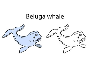 Funny cute animal beluga whale isolated on white background. Linear, contour, black and white and colored version. Illustration can be used for coloring book and pictures for children