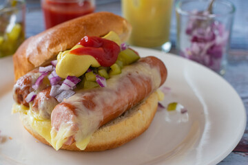 homemade hot dog burger with cheese, ketchup, mustard, pickles and  red onions on a plate