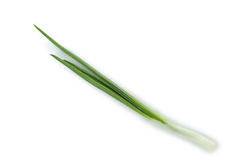 Obraz na płótnie Canvas Fresh green onion isolated on white background