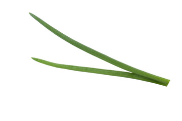 Fototapeta premium Fresh green onion isolated on white background