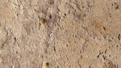 stone wall texture