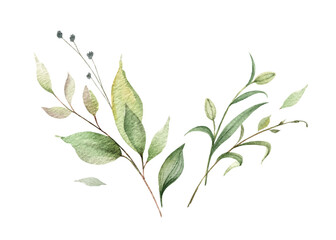 Watercolor vector bouquet of green branches and leaves.