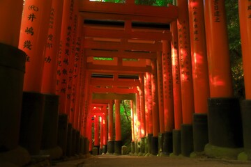 Obraz premium japanese temple
