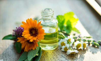 Obraz na płótnie Canvas Aromatherapy essential oil bottle, herbal plants and oil