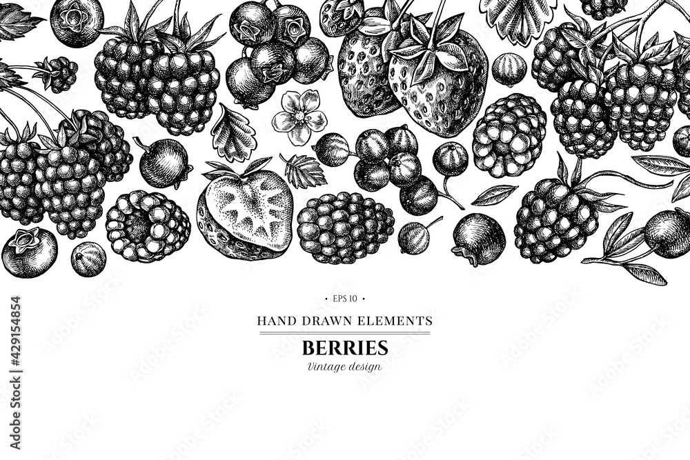 Wall mural Design with black and white strawberry, blueberry, red currant, raspberry, blackberry