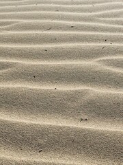 Sands