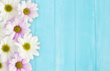 Garden flowers over blue wooden table background. Backdrop with copy space