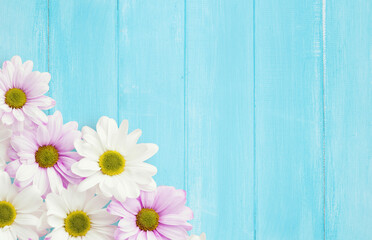 Obraz premium Garden flowers over blue wooden table background. Backdrop with copy space