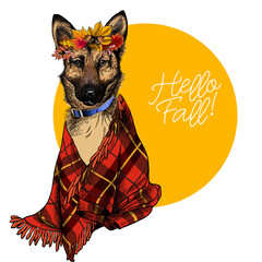 Vector portrait of german shepherd dog wearing autumn leaves and blanket. Hello fall illustration. Oak, maple, chestnut, rowen. Hand drawn pet portait. Poster, print, postcard, seasonal greeting.