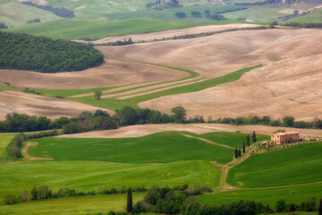 Fototapeta na wymiar Typical summer rural landscape of Tuscany , Italy