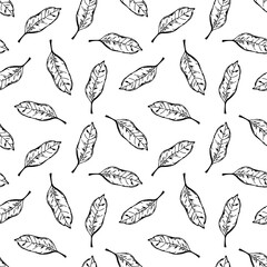 black and white outlined sketchy leaves seamless pattern, endless repeatable foliage texture