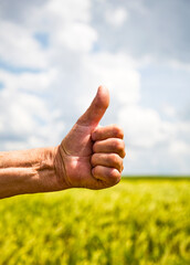 Farmer's hand symbolizes a good harvest