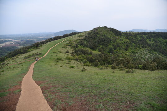 제주 평화로운 둘레길 오솔길, Jeju Island peaceful trail lane grass