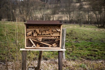 insect hotel made from wood