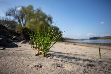 Rheinstrand Ludwigshöhe