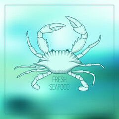 crab on blue background