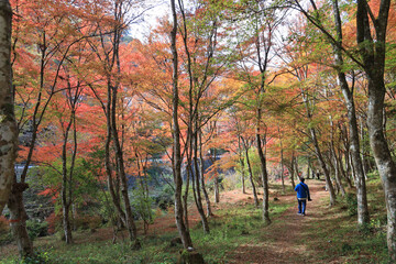 紅葉狩り