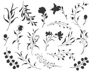 elegant hand drawn sketchy floral elements in black color, twigs branches and flowers set